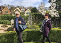 Phototaken at Brownswood garden, Beaconsfield