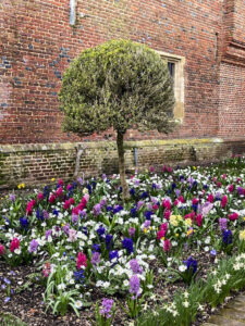 Photo taken at Greys Court, a NT property