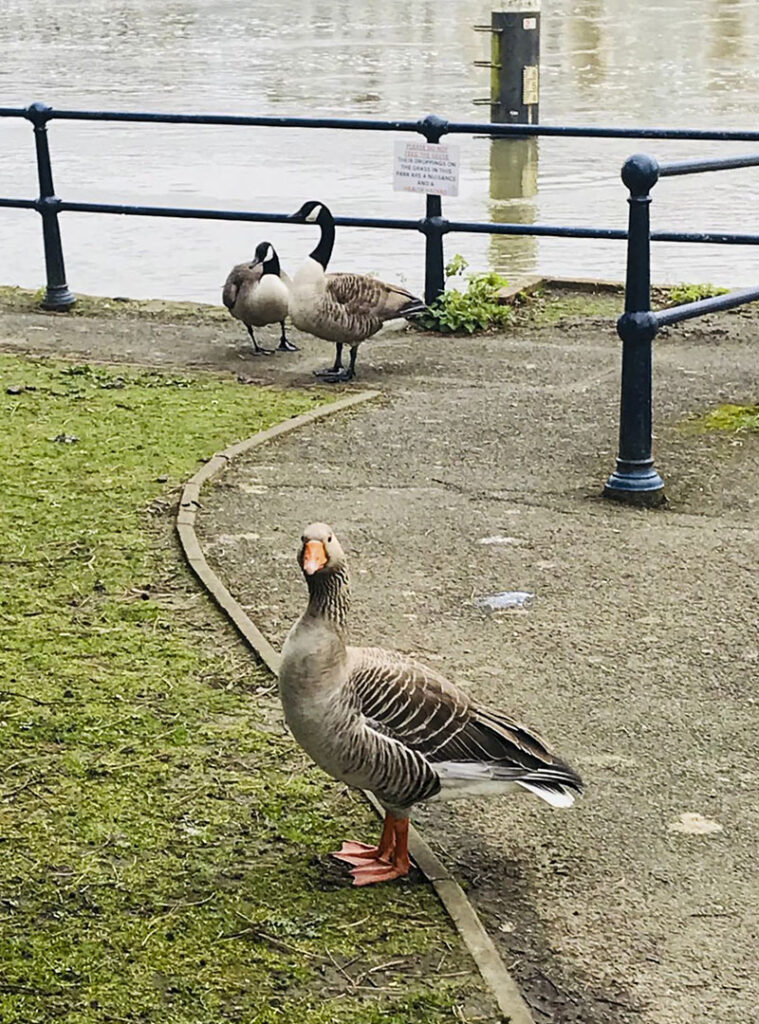 Photo taken in Taplow/Maidenhead area
